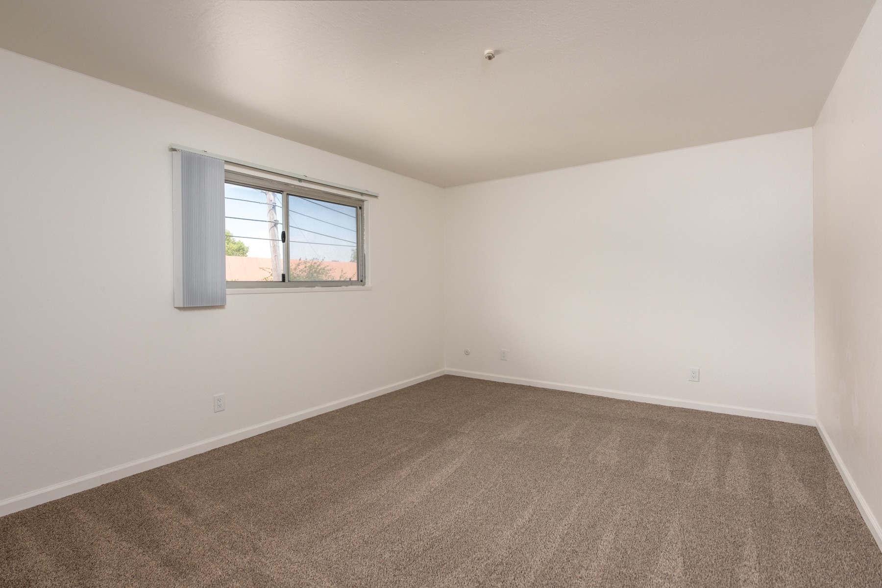 Los Robles Apartments photo 4